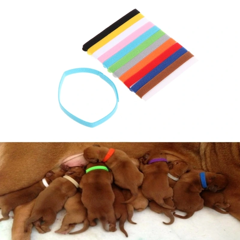 Halsband basic olika färger/storlekar TA STRECKKOD!