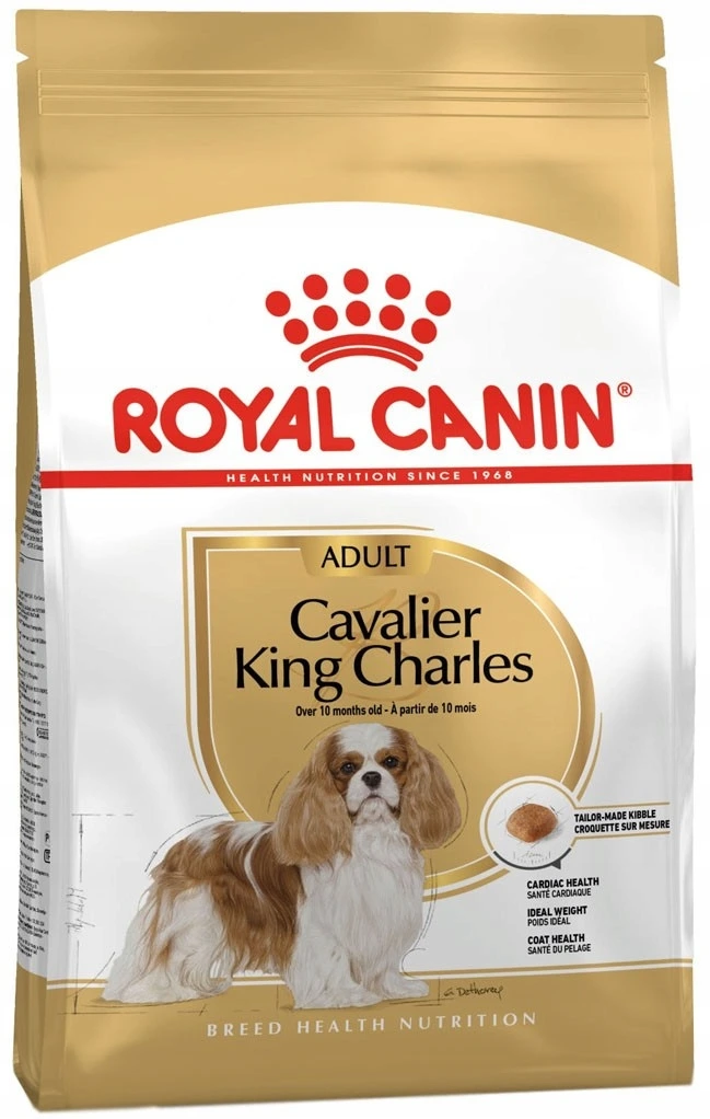 Cavalier King Charles Adult 7,5 kg