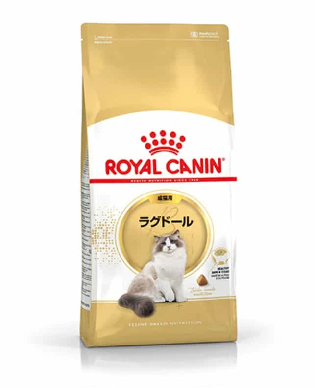 Ragdoll Adult 2 kg