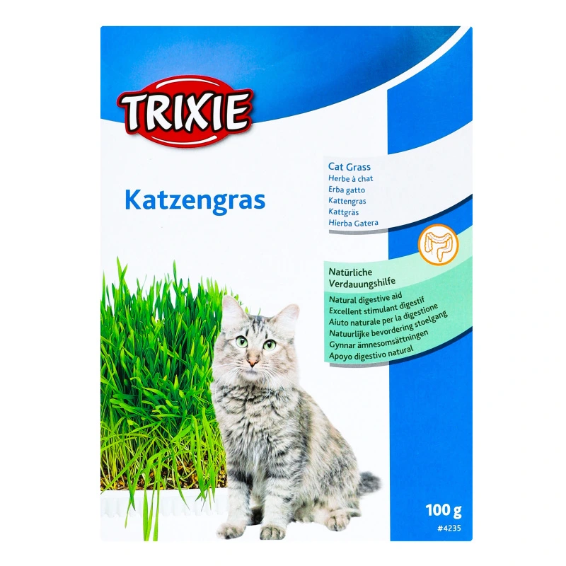 Kattgräs med odlingslåda 100 g