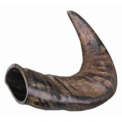 Tugghorn buffel M