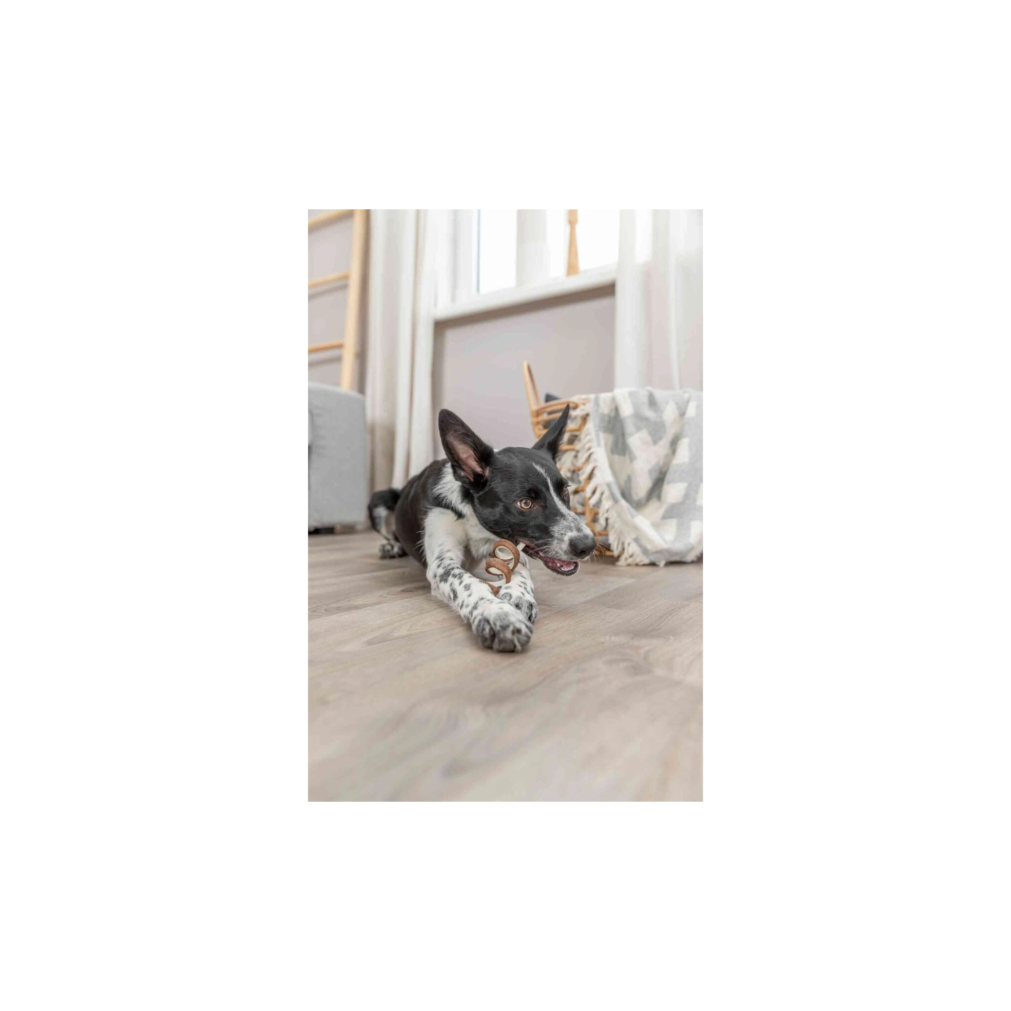 CHEWING CURL BEEF 12CM