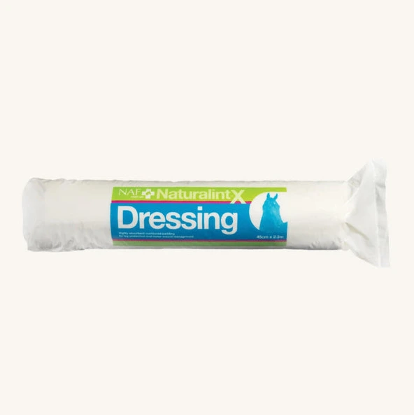 NaturalintX Dressing 500g
