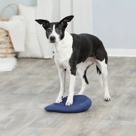 balansdyna för hund