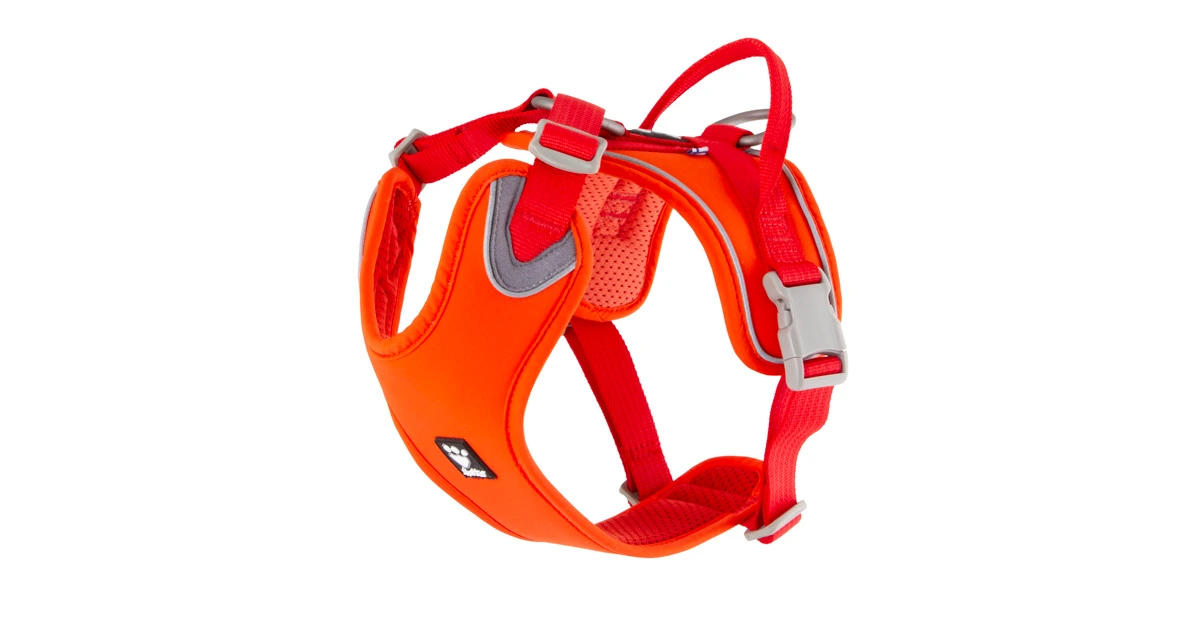 Weekend Warrior Harness 40-45cm Rosehip