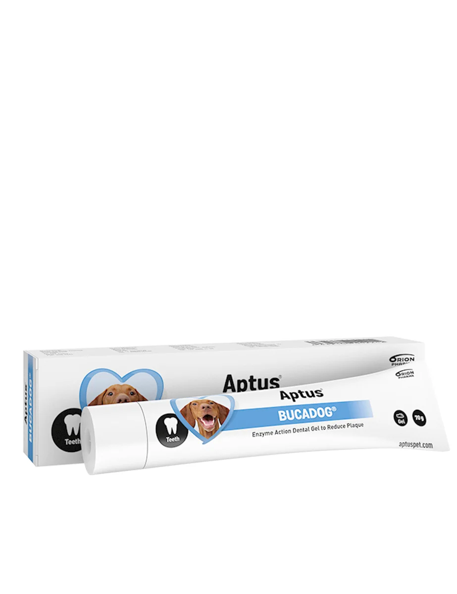 BUCADOG TANDGEL 70 G