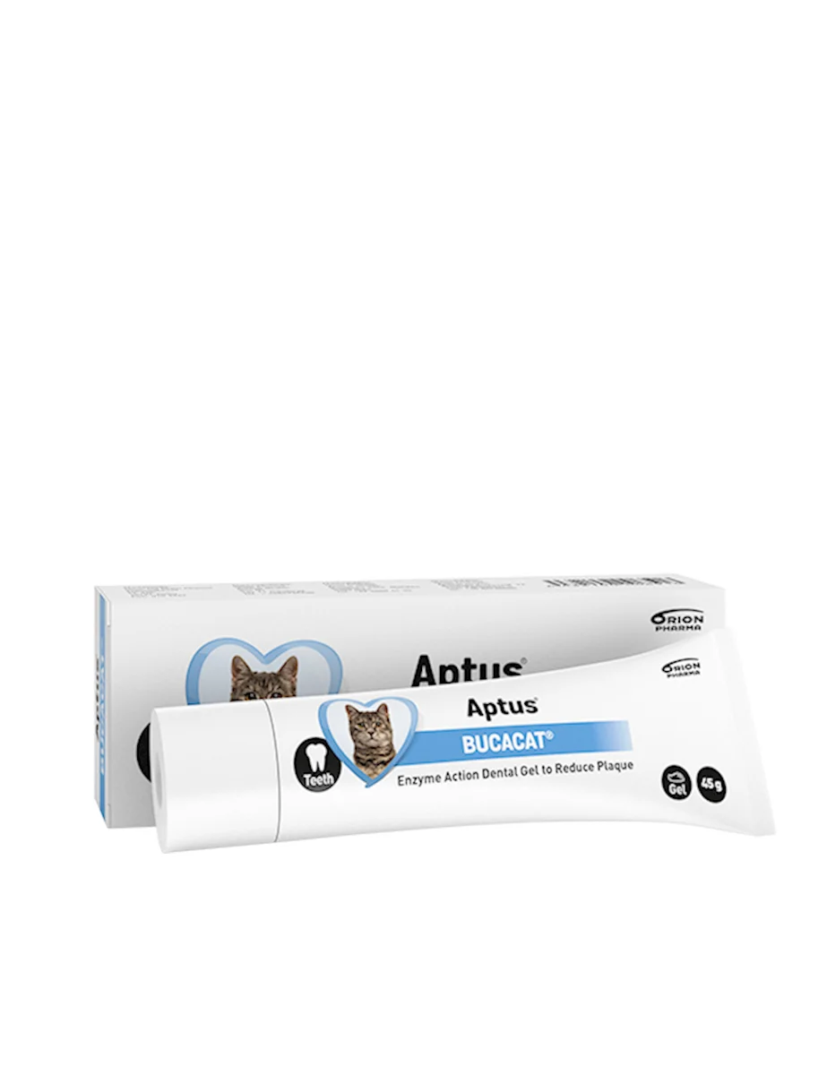 Bucacat Tandgel 45 g
