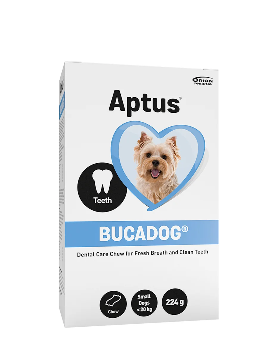 BUCADOG DENTAL CARE SMALL 224 g TUGGBITAR
