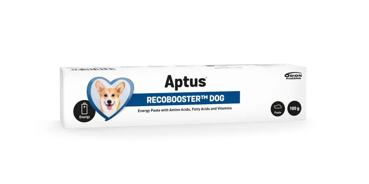 APTUS RECOVERY BOOSTER 100 G