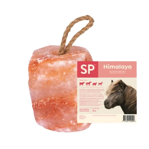 HIMALAYA SALTSSTEN CA 2 KG