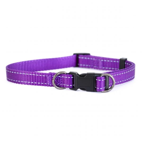 JUST.HALSBAND LILA 25 MM