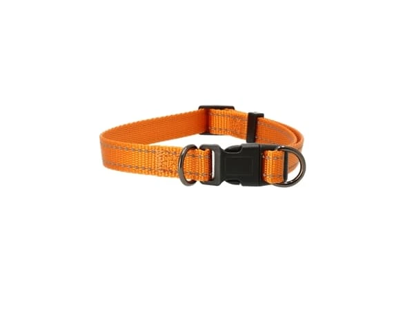 just.halsb.iris orange 22-35 cm