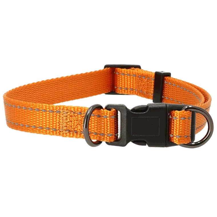 JUST.HALSBAND IRIS 20 mm ORANGE