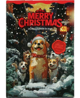 Adventskalender Hund