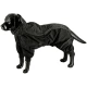 Dogman Regnoverall Dot Svart 25CM