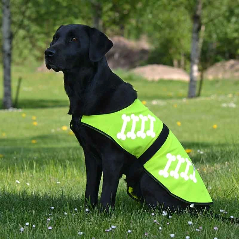 REFLEXVÄST HUND NEONGUL 50cm