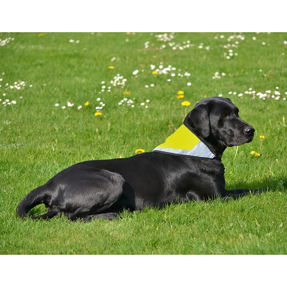 REFLEXSCARF HUND GUL L 50 x 23 cm