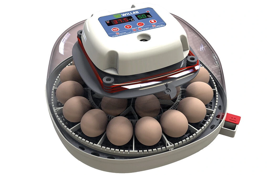 Äggkläckningsmaskin för 22 ägg