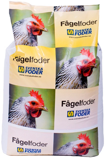 Fågel Maxi