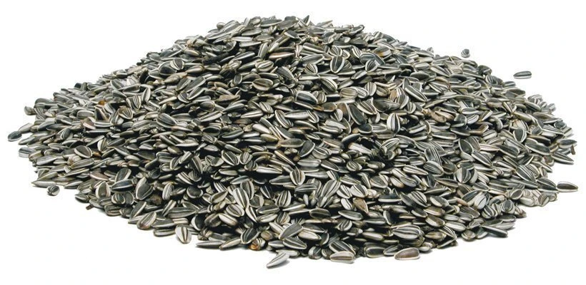 SOLROSFRÖ STRIMMIGT 4 KG