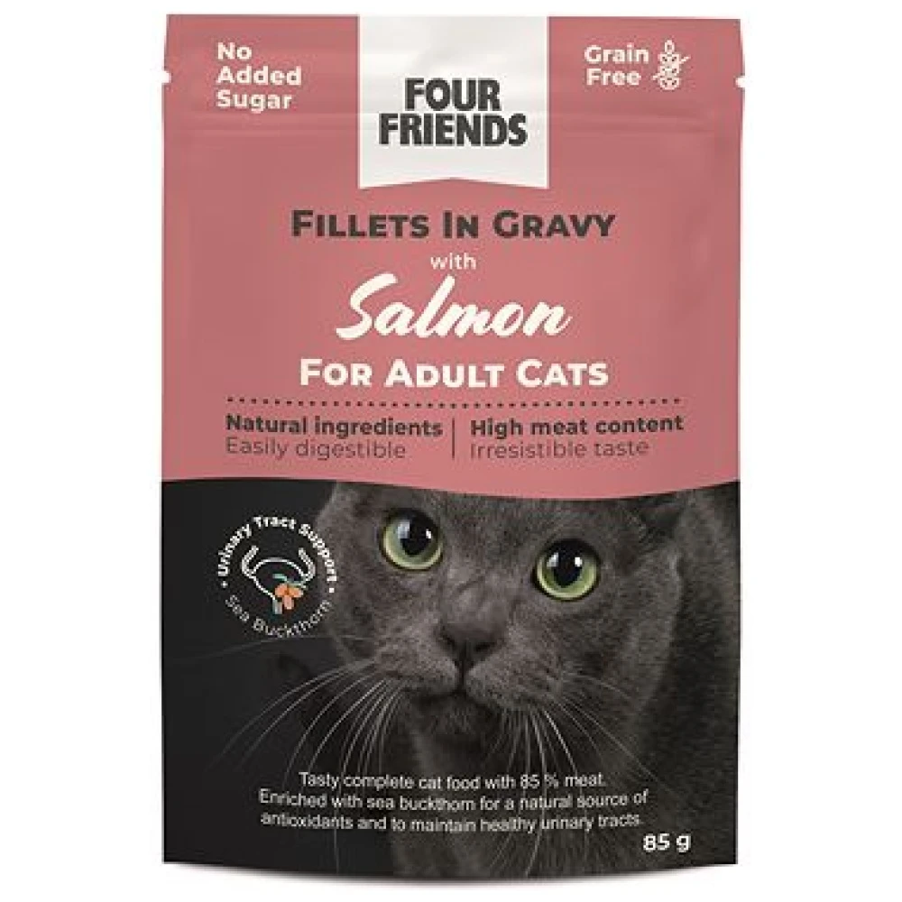 Adult Salmon in gravy Pouch