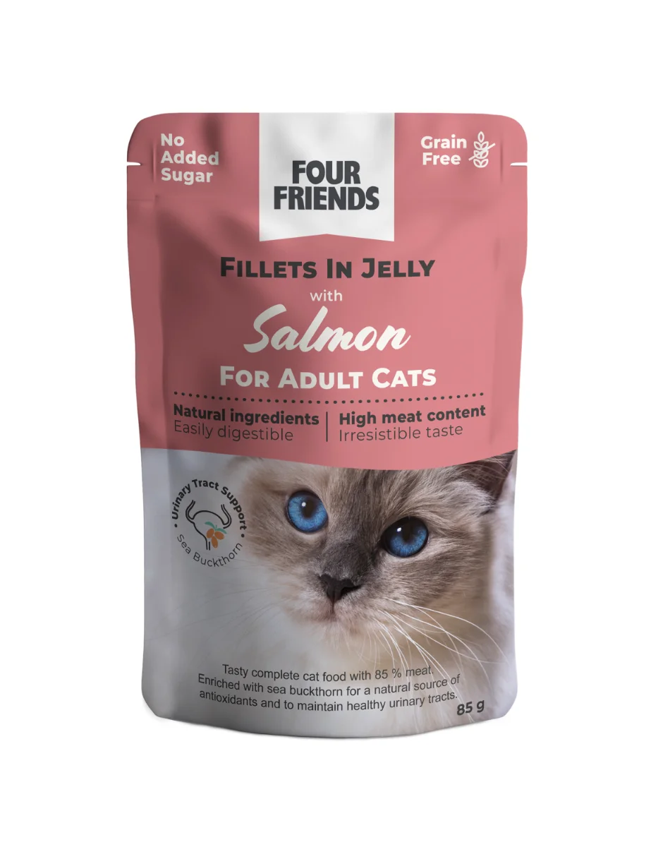 Adult Salmon in Jelly Pouch