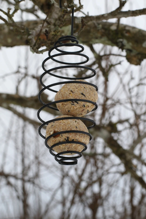 Fågelmatare Talgboll spiral svart