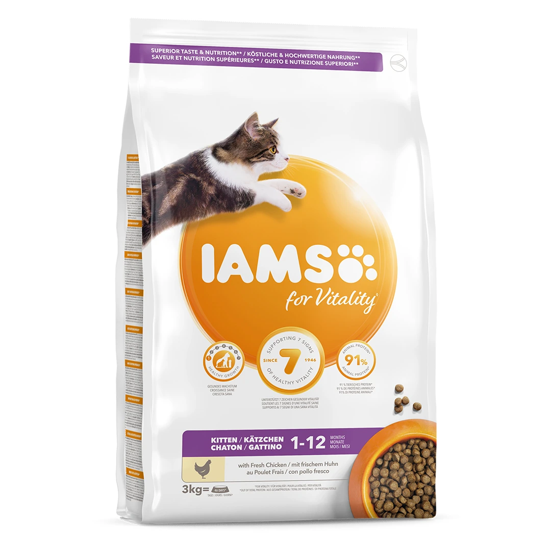 IAMS CAT KITTEN 3 KG
