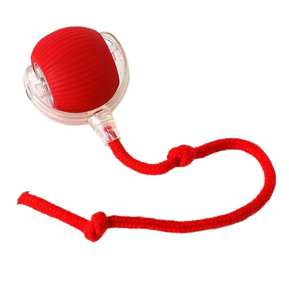 Smart cat ball with tail